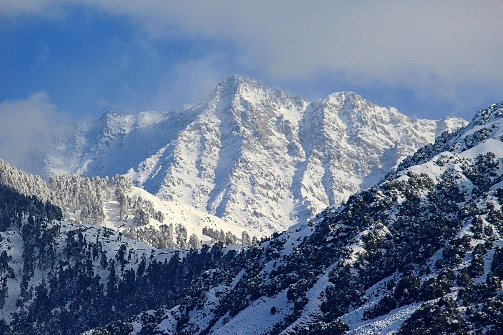 Hotel Bliss Valley Dharamshala - Beautiful View Of Mountains From Rooms Esterno foto